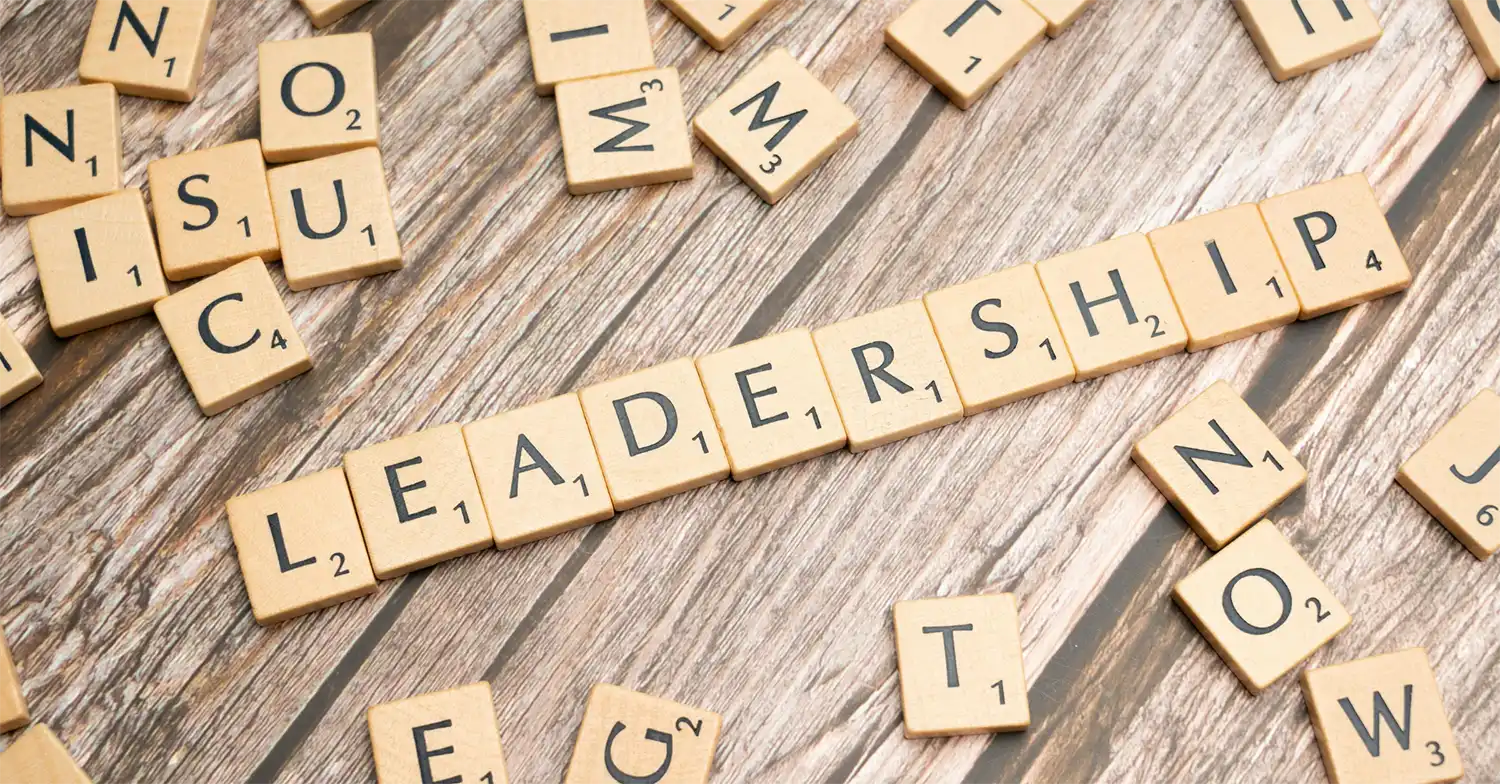 What is Leader Development?