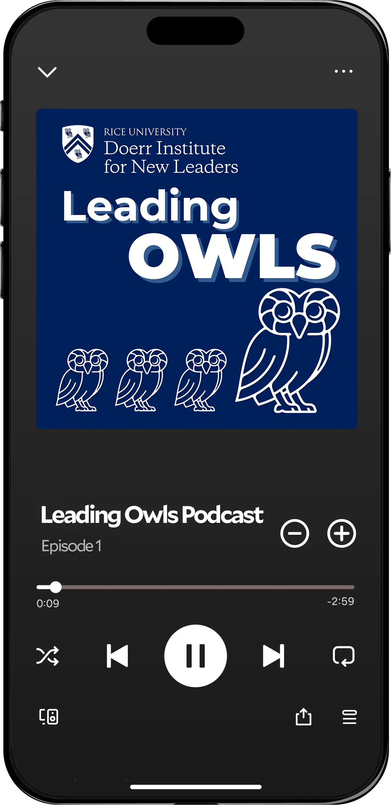 Leading Owls podcast artwork on a phone mockup